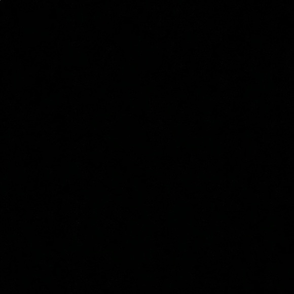 Meet your Posher, Molly - Picture 1 of 1